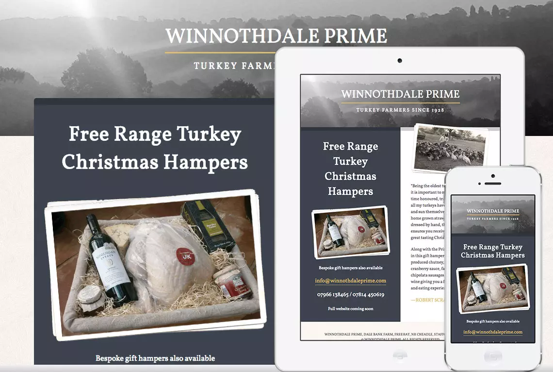 One page responsive web design - Winnothdale Prime