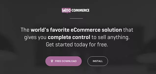 Woocommerce WordPress website costs