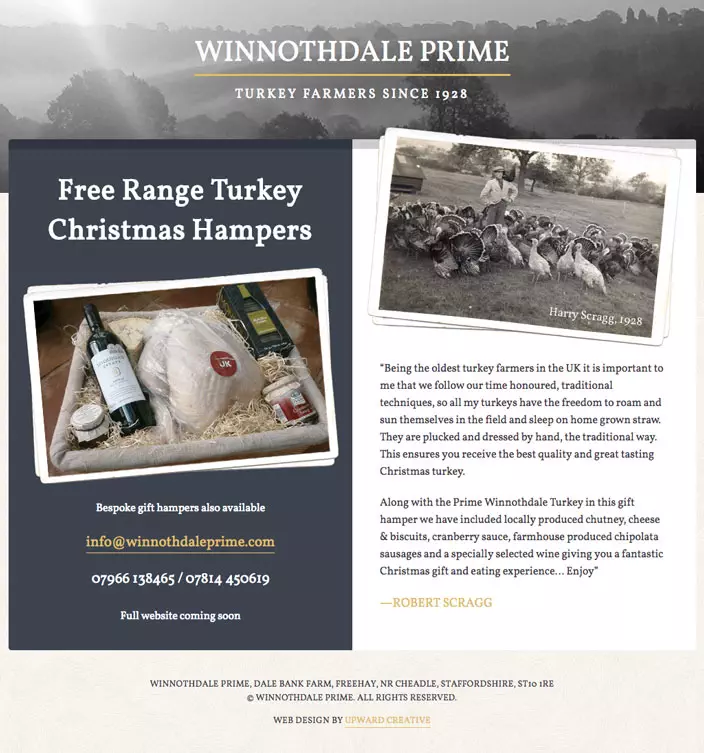 Single page responsive web design - Winnothdale Prime