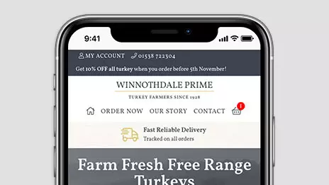 Winnothdale Prime Turkeys responsive web design case study