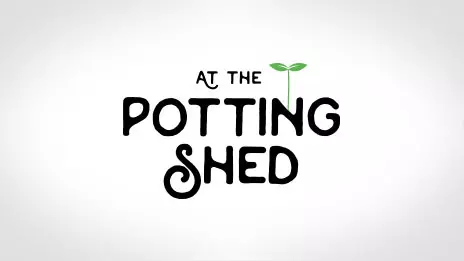 At The Potting Shed logo design case study