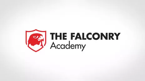 John Dowling Falconry Academy logo design case study