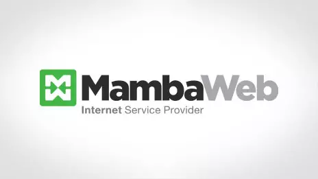 Mamba Web logo design case study